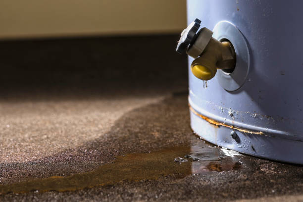 Professional Water damage restoration in Clarkesville, GA
