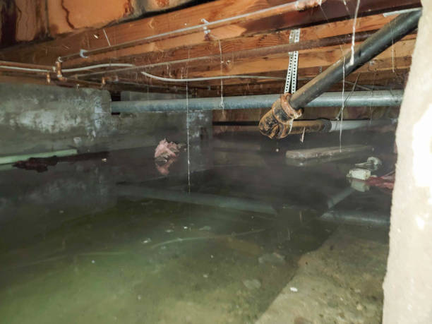 Best Ceiling water damage repair  in Clarkesville, GA