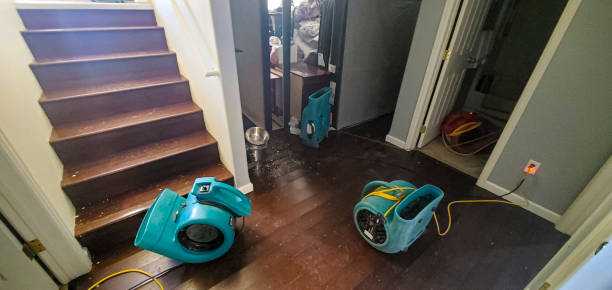 Best Emergency water damage restoration  in Clarkesville, GA