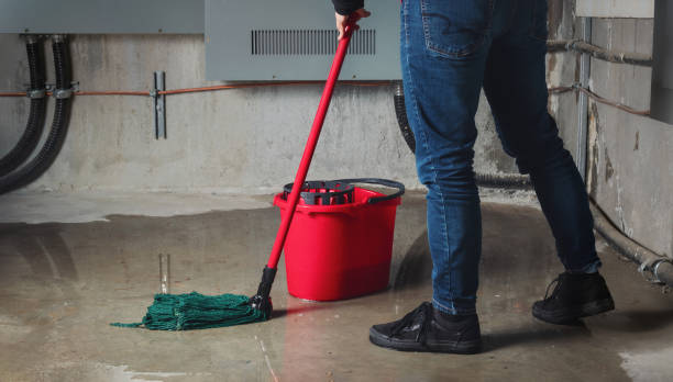 Best Mold removal after water damage  in Clarkesville, GA