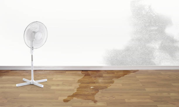 Best 24-hour water damage restoration  in Clarkesville, GA