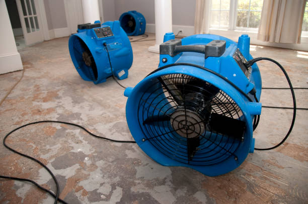  Clarkesville, GA Water damage restoration Pros