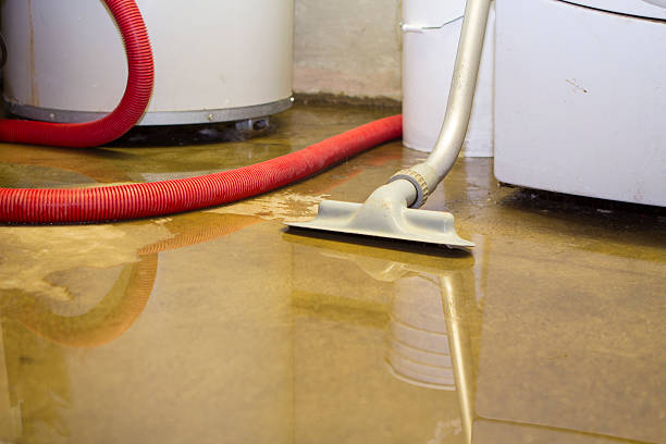  Clarkesville, GA Water damage restoration Pros