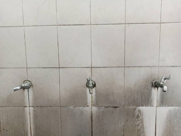 Best Flood damage cleanup  in Clarkesville, GA