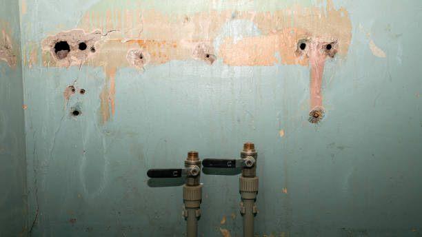 Best Water damage contractors near me  in Clarkesville, GA