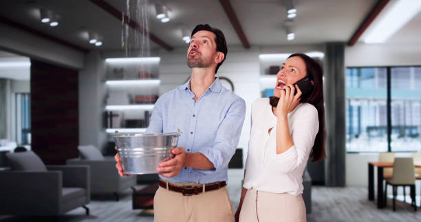 Best Flooded house restoration  in Clarkesville, GA