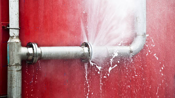 Best Sewage cleanup and water damage restoration  in Clarkesville, GA