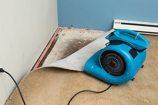 Best Flood damage cleanup  in Clarkesville, GA